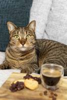 Paul PINTARD - PINTARD PHOTOGRAPHIE