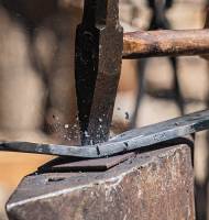 Hervé DIOLOGENT - HSD PHOTO